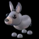 Donkey