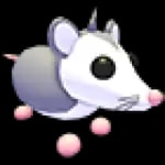 Possum