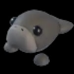 Dugong