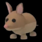 Bandicoot