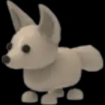 Fennec Fox