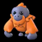 Orangutan