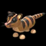 Banded Palm Civet