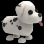 Dalmatian