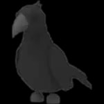 Crow