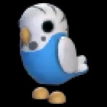Parakeet