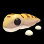 Sandfish