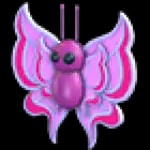Orchid Butterfly