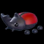 Rhino Beetle