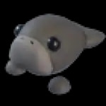 Dugong