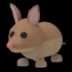 Bandicoot
