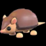 Armadillo