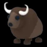 Buffalo