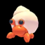 Hermit Crab
