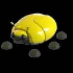 Giant Gold Scarab