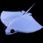 Stingray